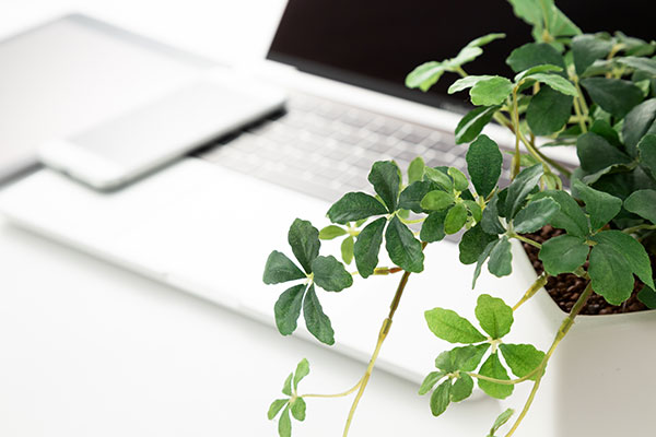 仙台市太白区の整形外科・内科クリニック 渡辺アイ整形外科胃腸内科 初診受付サービス